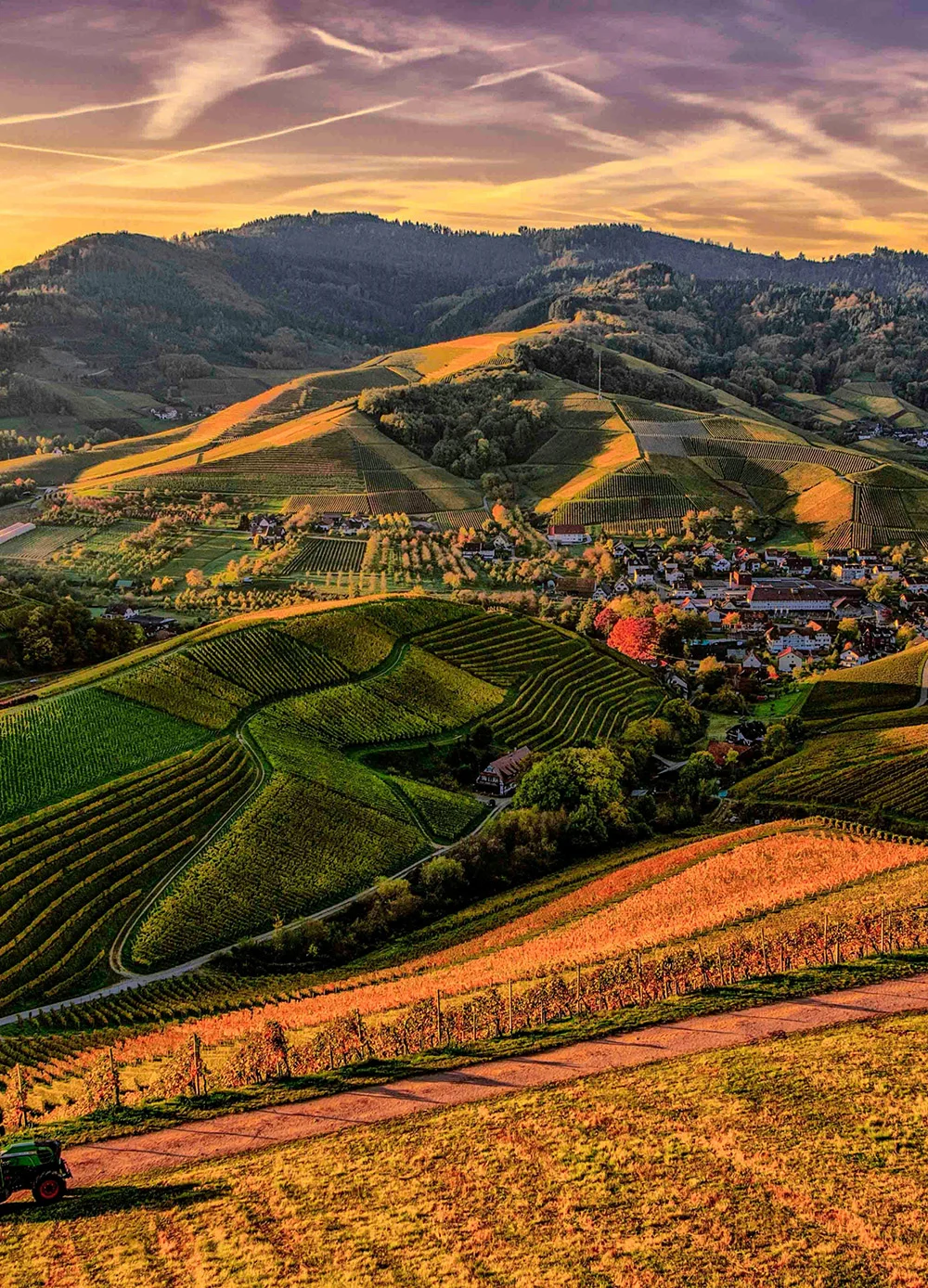 We provide clean, organically-grown food products sourced directly from trusted local farmers.